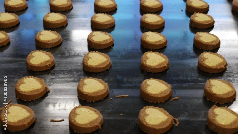 the conveyor of the confectionery factory for the production of sweet cookies is in operation the conveyor of the confectionery factory for the production of sweet cookies is in operation