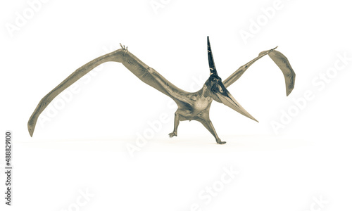pteranodon is landing in white background © DM7