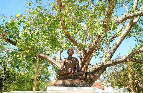 Bodhi Tree Growing from the Offshoot from India Where the Buddha Achieved Enlightenment, Wat Benchamabophit (The Marble Temple), Bangkok, Thailand  photo