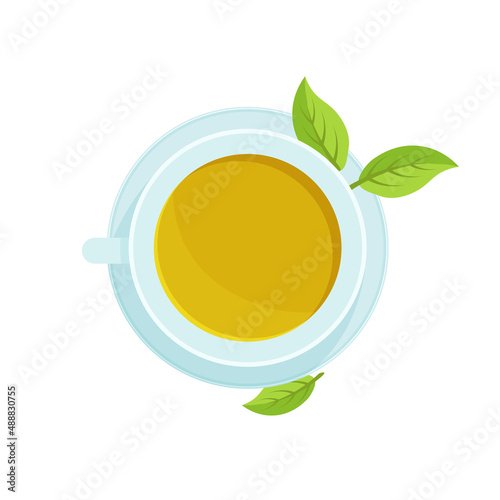 Green tea in cup with leaves. Top view. Healty lifestyle. Vegan illustration in trendy flat style isolated on white background.