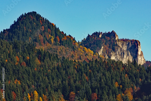 Fototapeta Naklejka Na Ścianę i Meble -  Pieniny