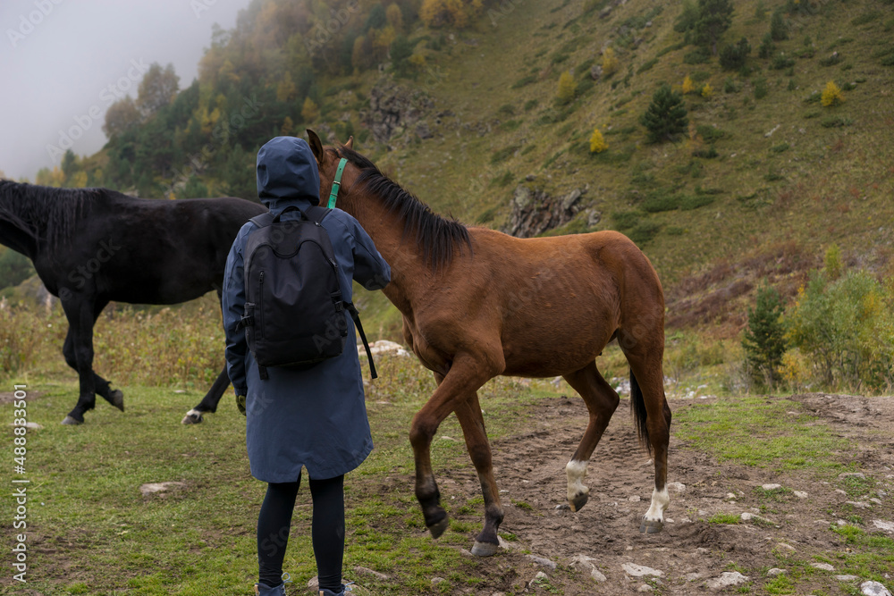 Horse and woman in landscape. Blooming meadows against the backdrop of beautiful forest peaks Horse and woman in landscape. Blooming meadows against the backdrop of beautiful forest peaks