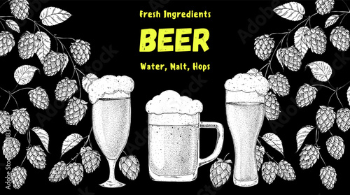Beer glasses and hops sketch. Brewery design template. Beer hop illustration. Hand drawn sketch design. Beer ingredients vector illustration.