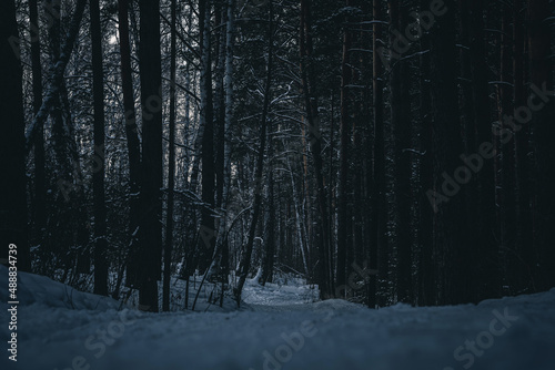 scary dark path in the winter forest