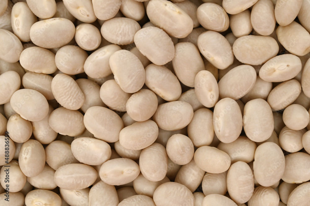 Navy beans, for backgrounds or textures Navy beans, for backgrounds or textures
