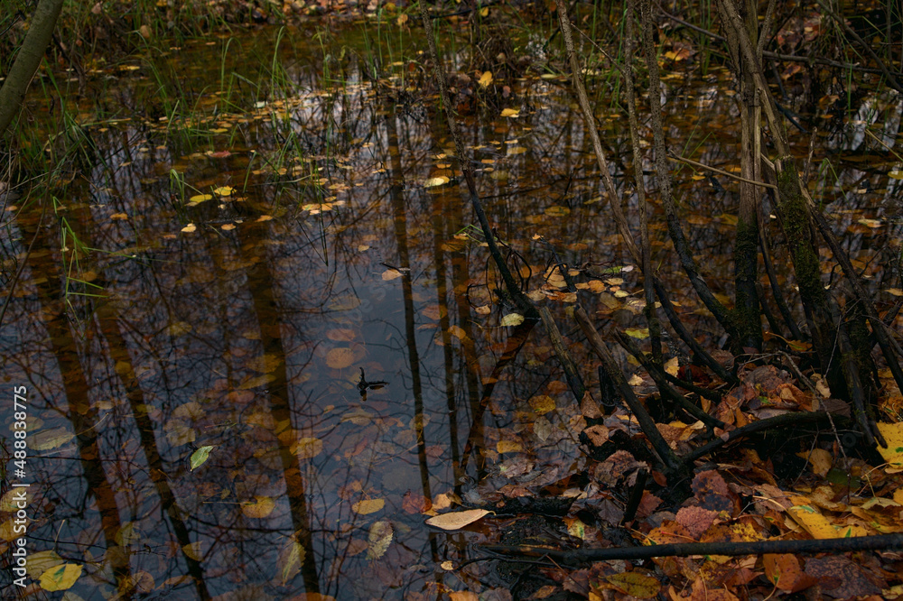 Obraz premium _DSC20211021F12