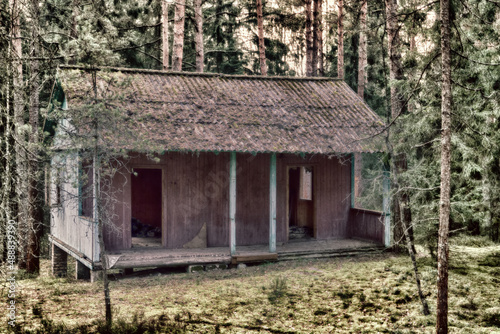 Abandoned wooden houses in the old pine forest photo