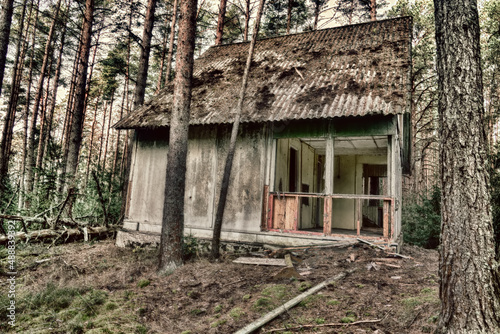 Abandoned wooden houses in the old pine forest photo