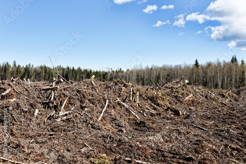 stump grubbing and stump removal. These forest lands were destroyed when preparing the site for the construction of the enterprise. Construction began in territory planification and forestry in taiga photo