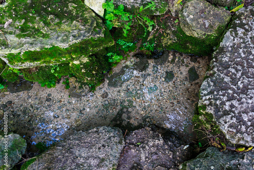 Natural spring with mineral drinking water in the wild with stones overgrown with moss. Background or backdrop photo