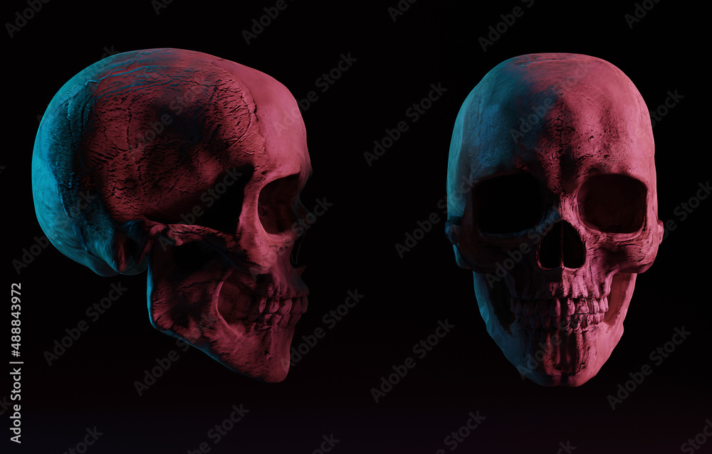 A skull of a woman on a dark side and front view. 3d render, 3d illustration. Medical and anthropological concept. Human skull, medical research, human study. A skull of a woman on a dark side and front view. 3d render, 3d illustration. Medical and anthropological concept. Human skull, medical research, human study.