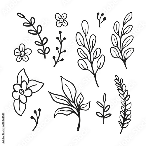Vector branches and leaves. Hand drawn floral elements. Vintage botanical illustrations. Doodle nature ornaments.
