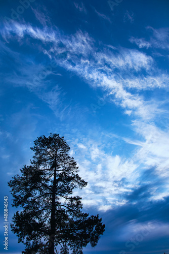 Winter Sky