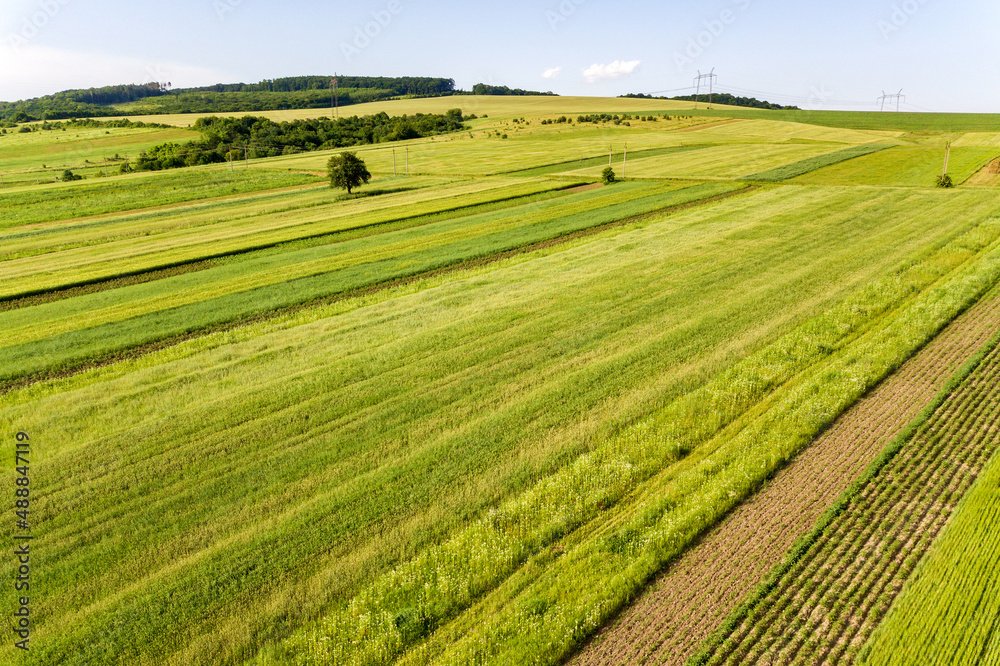 Aerial view of green agricultural fields in spring with fresh vegetation after seeding season on a warm sunny day