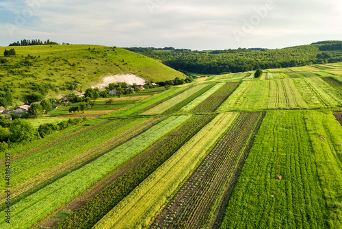 Aerial view of green agricultural fields in spring with fresh vegetation after seeding season on a warm sunny day. © bilanol