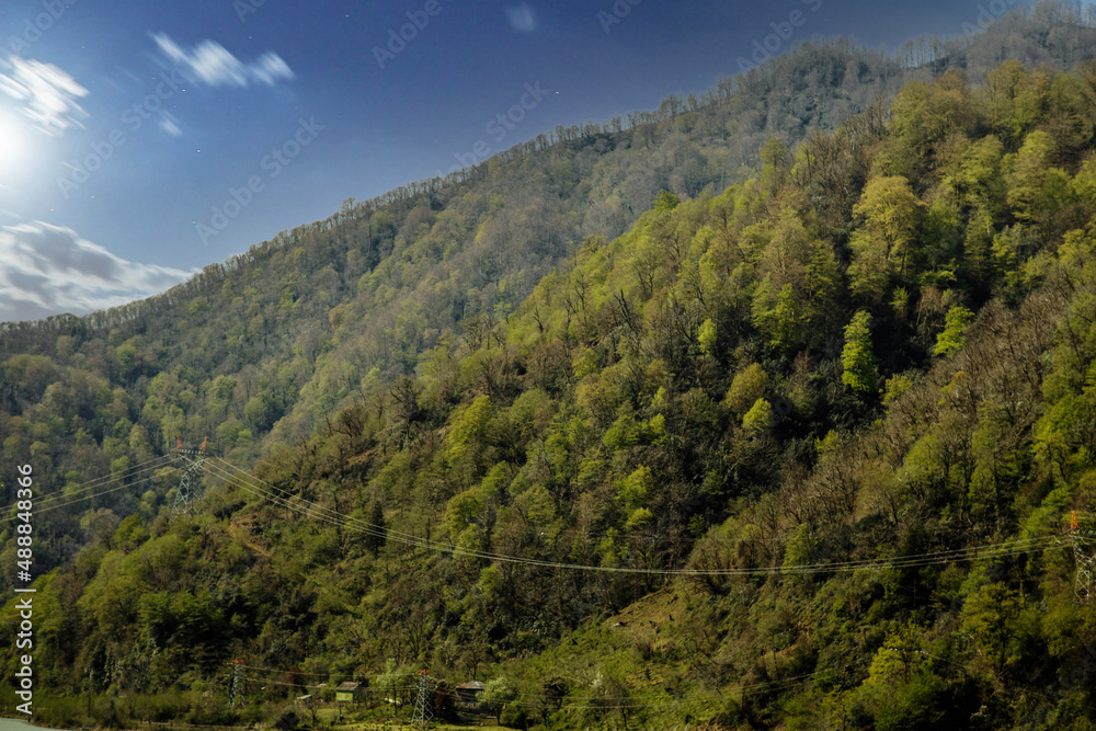 spring mountains overgrown with trees in Georgia