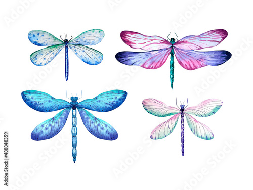 Watercolor set of dragonflies on a white background