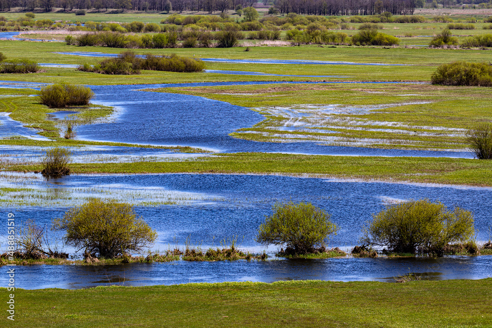 Poland. The Biebrza National Park. Overflow area of the Biebrza River draining its waters into the Narew River (in the background)