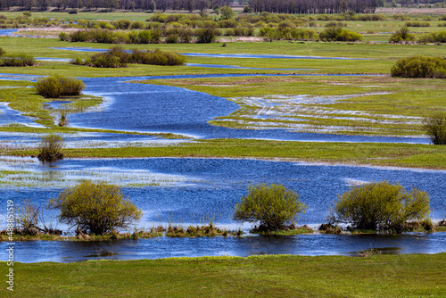 Obraz na płótnie Poland. The Biebrza National Park. Overflow area of the Biebrza River draining its waters into the Narew River (in the background) w salonie