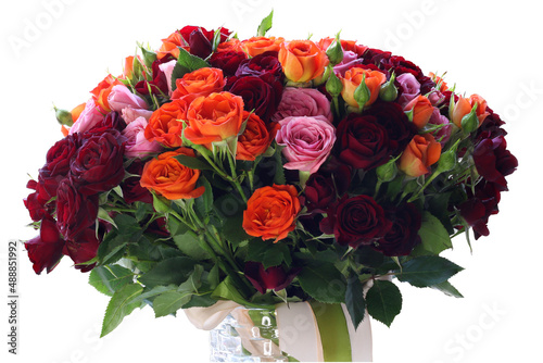 A bouquet of scarlet, burgundy and pink fresh roses is tied with a ribbon and stands in a vase. Isolated on white.