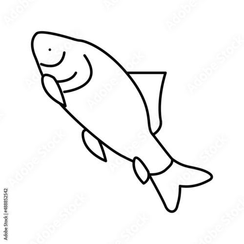 catla catla fish line icon vector illustration