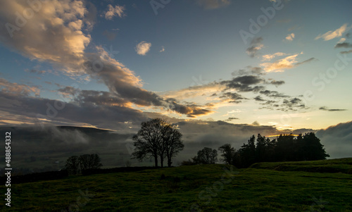 A group of trees viewed across a field in the North Pennines in Autumn, sunlit clouds behind them