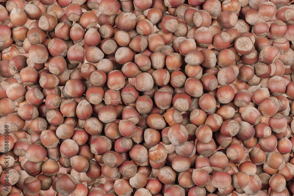 Background image: texture of hazelnuts in the shell on a flat surface. Seamless background Background image: texture of hazelnuts in the shell on a flat surface. Seamless background