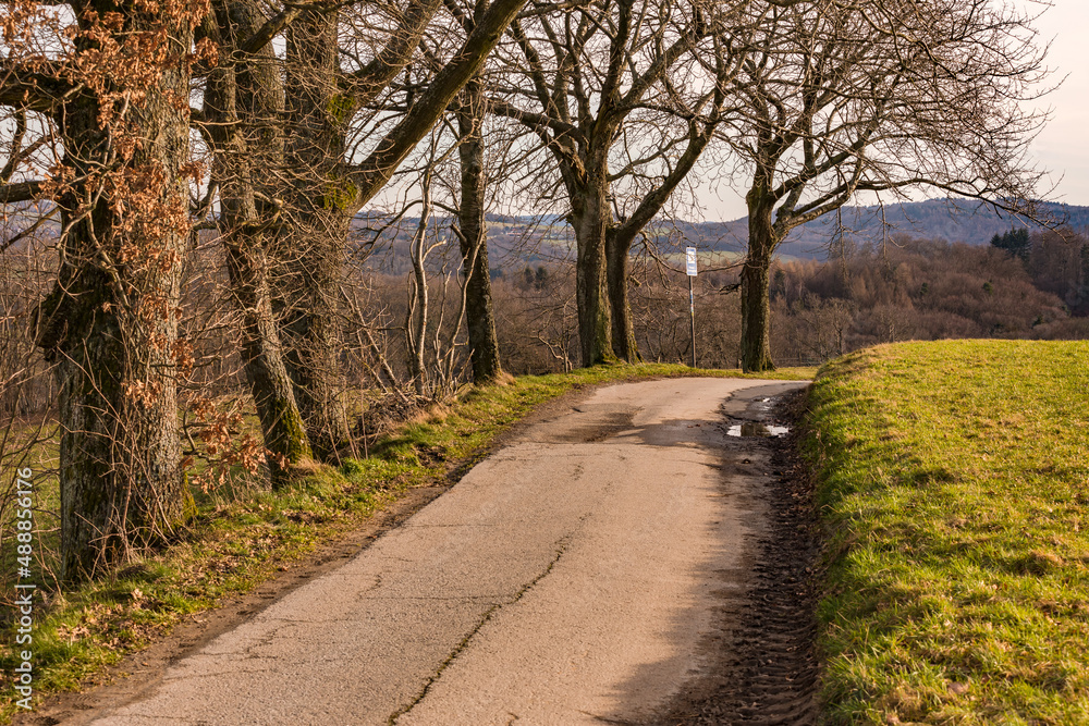 Ein geteerter Feldweg führt über einen Hügel an Bäumen vorbei und bietet eine winterliche Aussicht Ein geteerter Feldweg führt über einen Hügel an Bäumen vorbei und bietet eine winterliche Aussicht