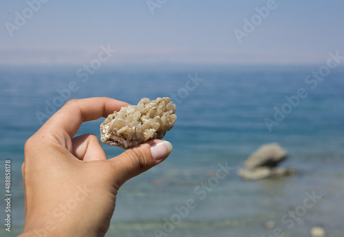 Crystal of the salt in the stone - Dead sea - Jordan