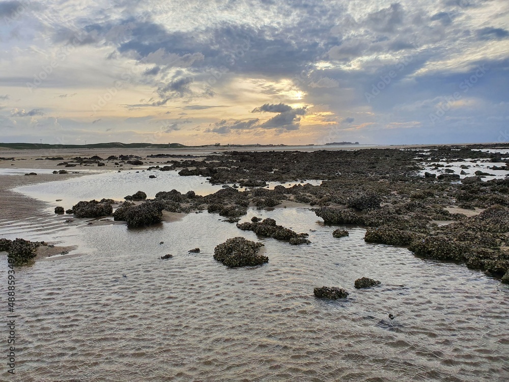 Fototapeta premium beach at sunset