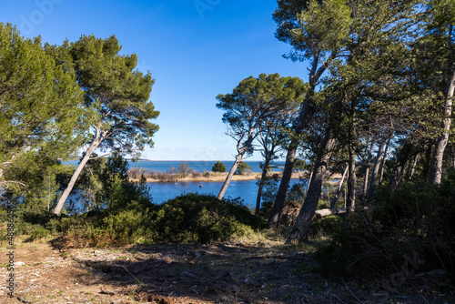 Vue sur l’Etang de l’Ayrolle depuis la Réserve naturelle régionale de Sainte-Lucie à Port-la-Nouvelle (Occitanie, France)