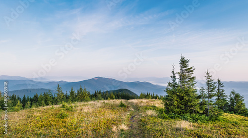 Bright Carpathian landscape in the morning light with beautiful green grass and blue sky. Panoramic view. Beauty of nature, background concept