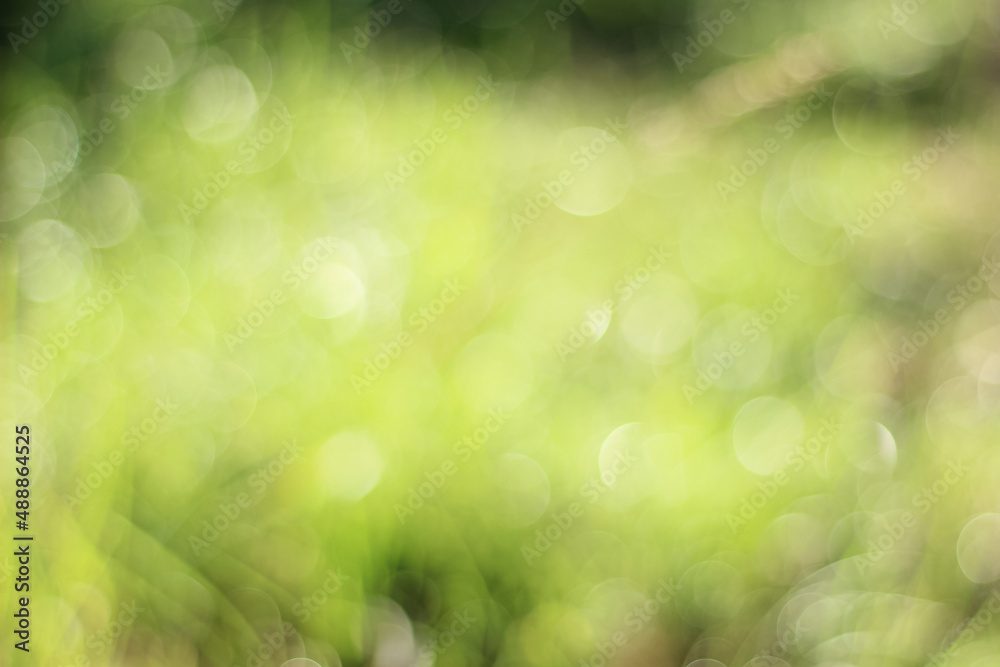 abstract background grass bokeh blurry
