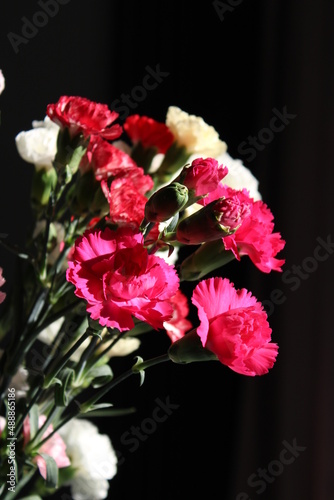 flowers kwiaty goździki w wazonie kolorowe