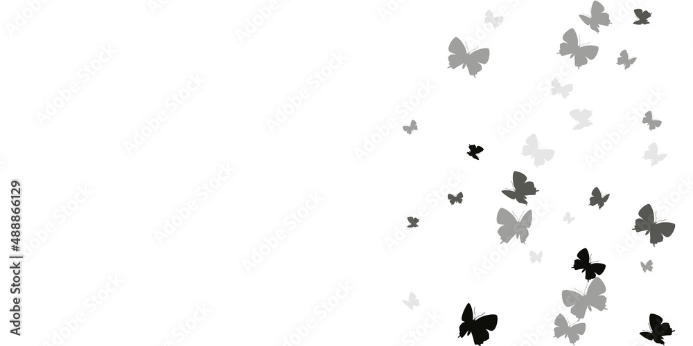 Exotic black butterflies flying vector background. Summer colorful moths. Decorative butterflies flying dreamy illustration. Delicate wings insects graphic design. Nature creatures.