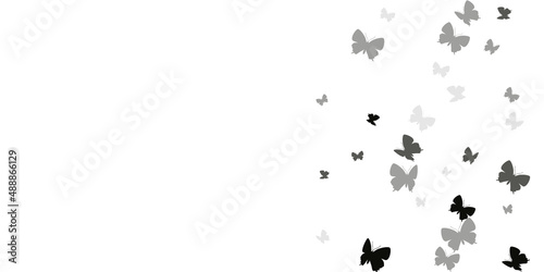 Exotic black butterflies flying vector background. Summer colorful moths. Decorative butterflies flying dreamy illustration. Delicate wings insects graphic design. Nature creatures.