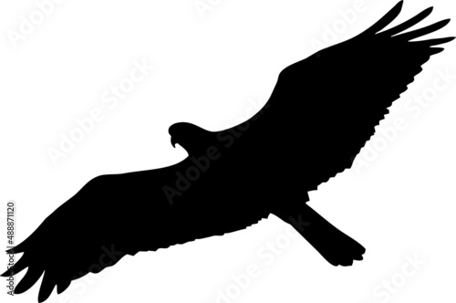 Rapace noir volant isolé fond transparent