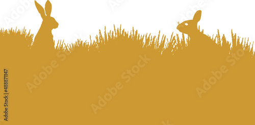 Fototapeta Naklejka Na Ścianę i Meble -  Deux lapins dans l'herbe et prairie. Isolé sur fond transparent