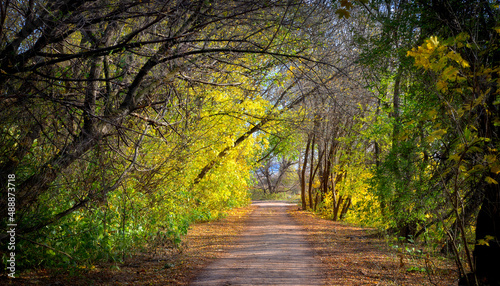 jesień, ścieżka, ulica, żółty liść
