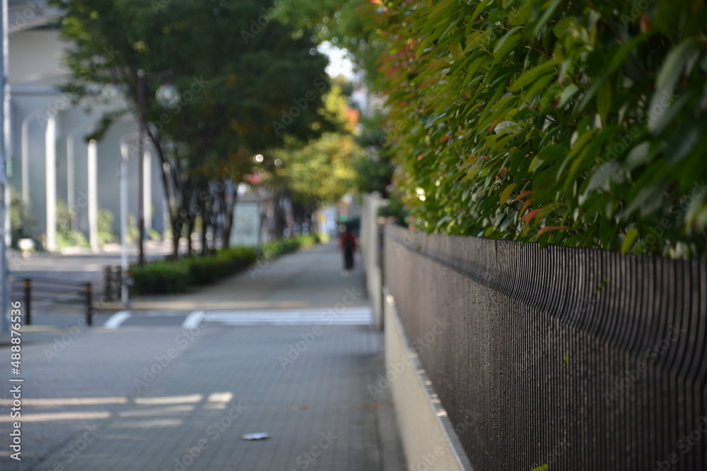 Obraz premium 歩道