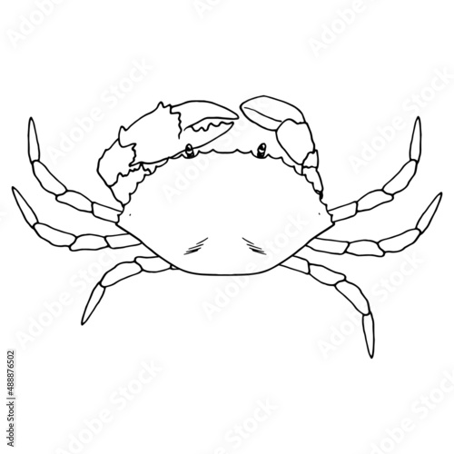 linear black crab. top view of a sea crab with claws marine animal, isolated black outline on white, for the template of a restaurant with sea food