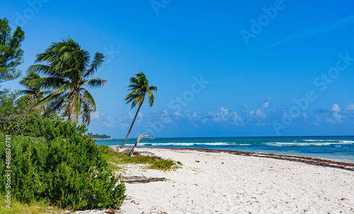 White sand beach of Playa del Carmen, Yucatan. photo
