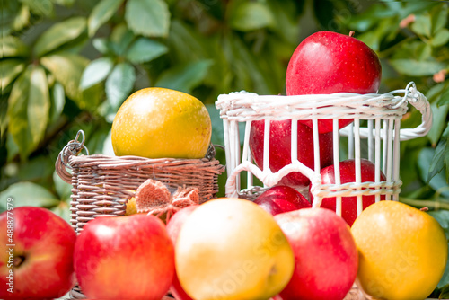 Apples in a wicker basket during summer day in orchard. photo