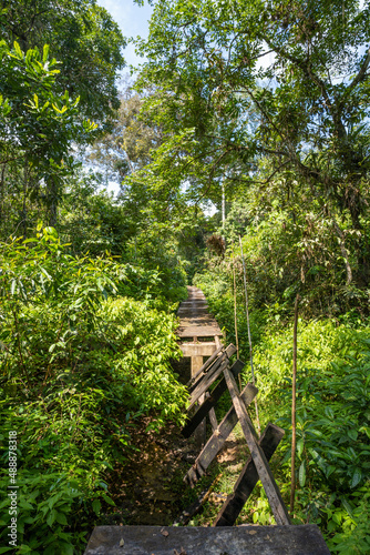 Dangerous crossing on a broken wooden bridge in amazon forest  Puerto Nari  o  Leticia  Colombia