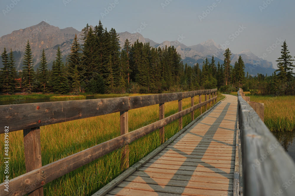 Wooden boardwalk though river marsh in rocky mountains of Canmore, Alberta, Canada