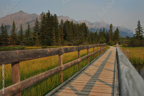 Wooden boardwalk though river marsh in rocky mountains of Canmore  Alberta  Canada
