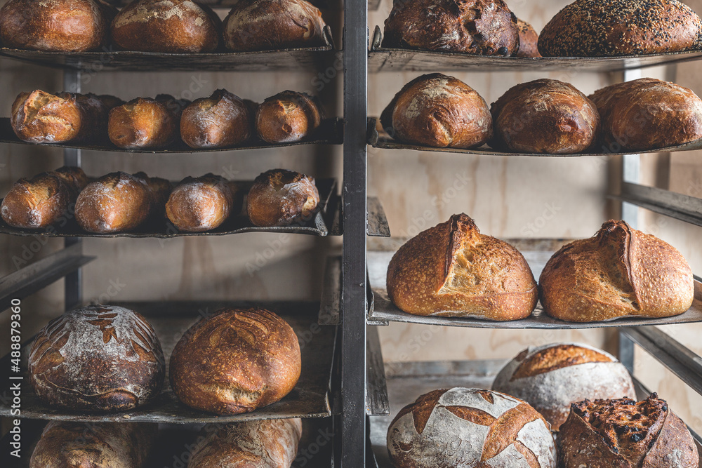 Freshly baked sourdough bread on a shelf - obrazy, fototapety, plakaty 