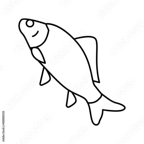 crucian carp line icon vector illustration