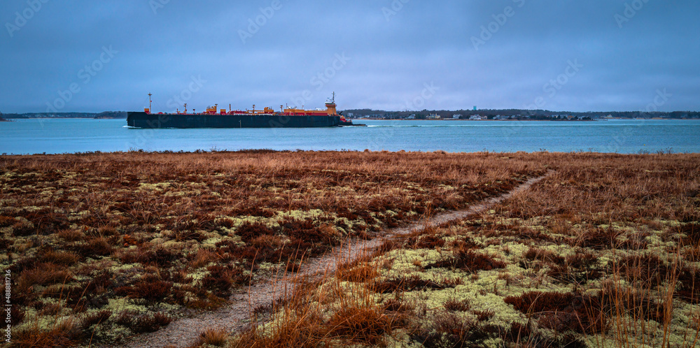 Footpath diagonally crossing the coastal meadow with dried grasses and green lichens by the canal Footpath diagonally crossing the coastal meadow with dried grasses and green lichens by the canal