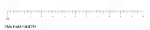 Fotografie, Obraz 12 inch or 1 foot ruler scale